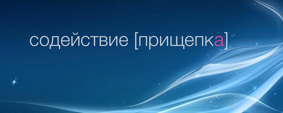 блог прищепка содействие